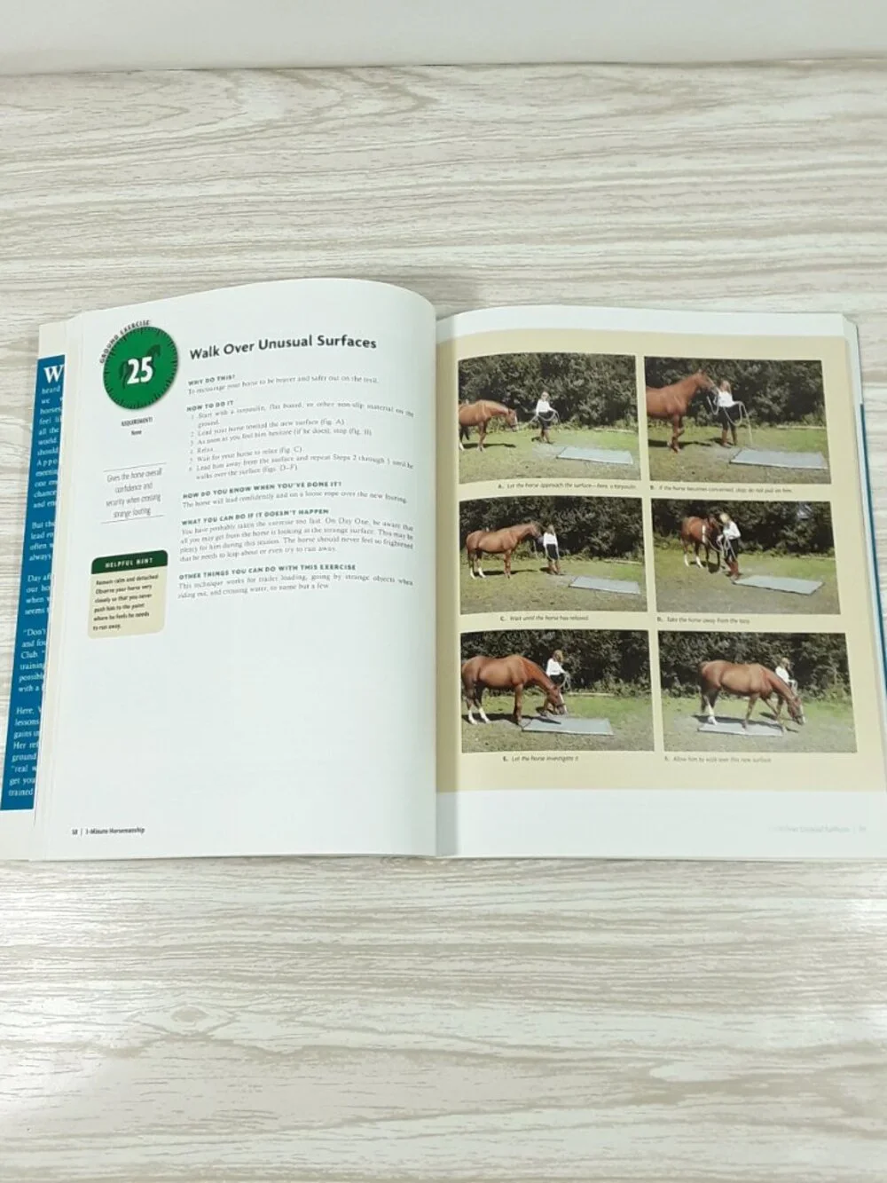 2 Book Lot- 3-Minute Horsemanship, Horse Agility Handbook Vanessa Bee equestrian